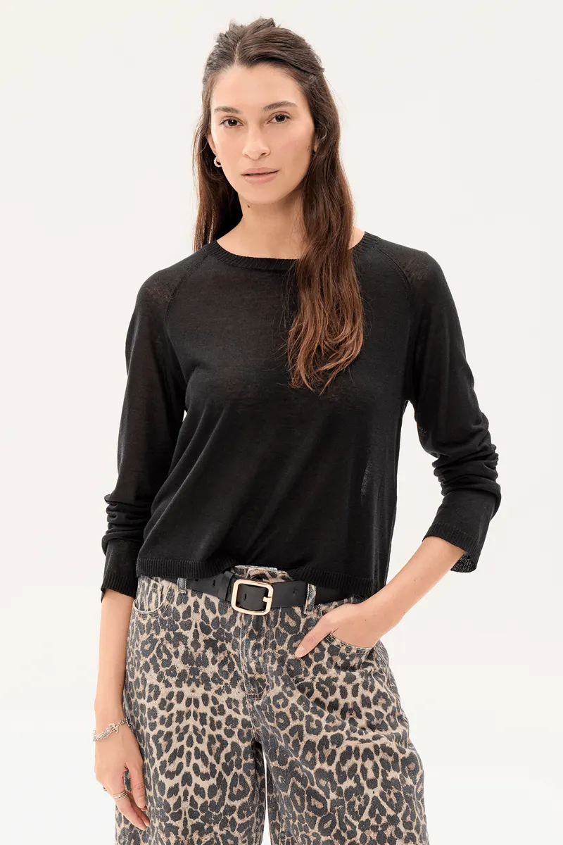 Sweater Cator